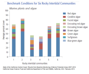 Benchmark Conditions for 6 Intertidal Comm 2