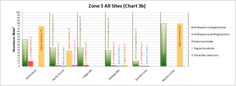Zone 3 All Sites (Chart 3b)