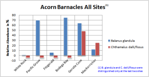 Acorn Barnacle All Sites