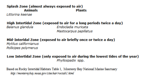 Indicator species, intertidal zone