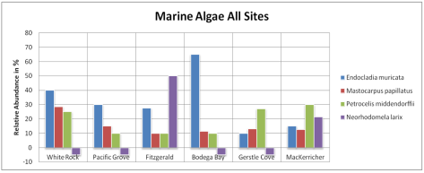 Marine Algae All Sites