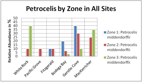 Petrocelis by Zone in All Sites