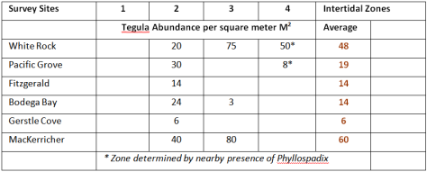 Tegula abundance per square meter